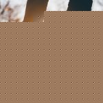 Skateboard 1869727 1280