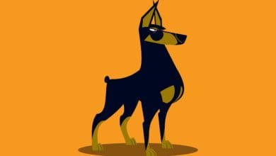 Hukum mmelihara anjing