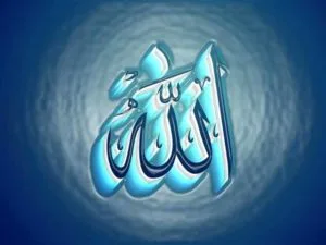 Images (26)